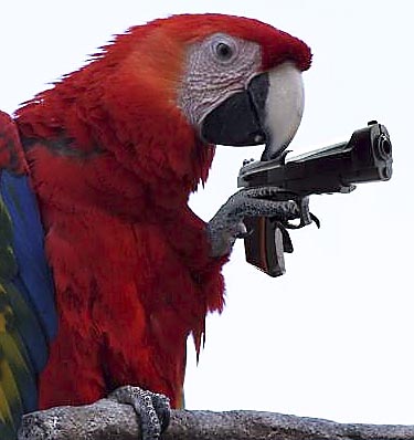 [Imagen: parrot-gun.jpg]